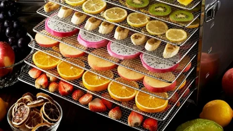 تصویر 1 از خرید میوه خشک شده استوایی + قیمت فروش استثنایی